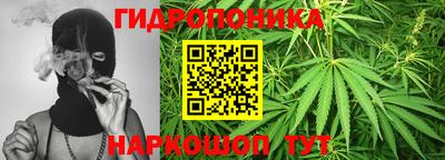 дмт Анапа