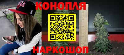 дмт Анапа