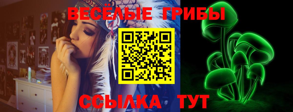 Псилоцибиновые грибы прущие грибы Ржев